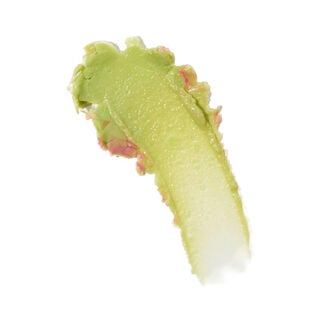 Disney and Pixar's Toy Story x Revolution Alien Lip & Cheek PH Balm